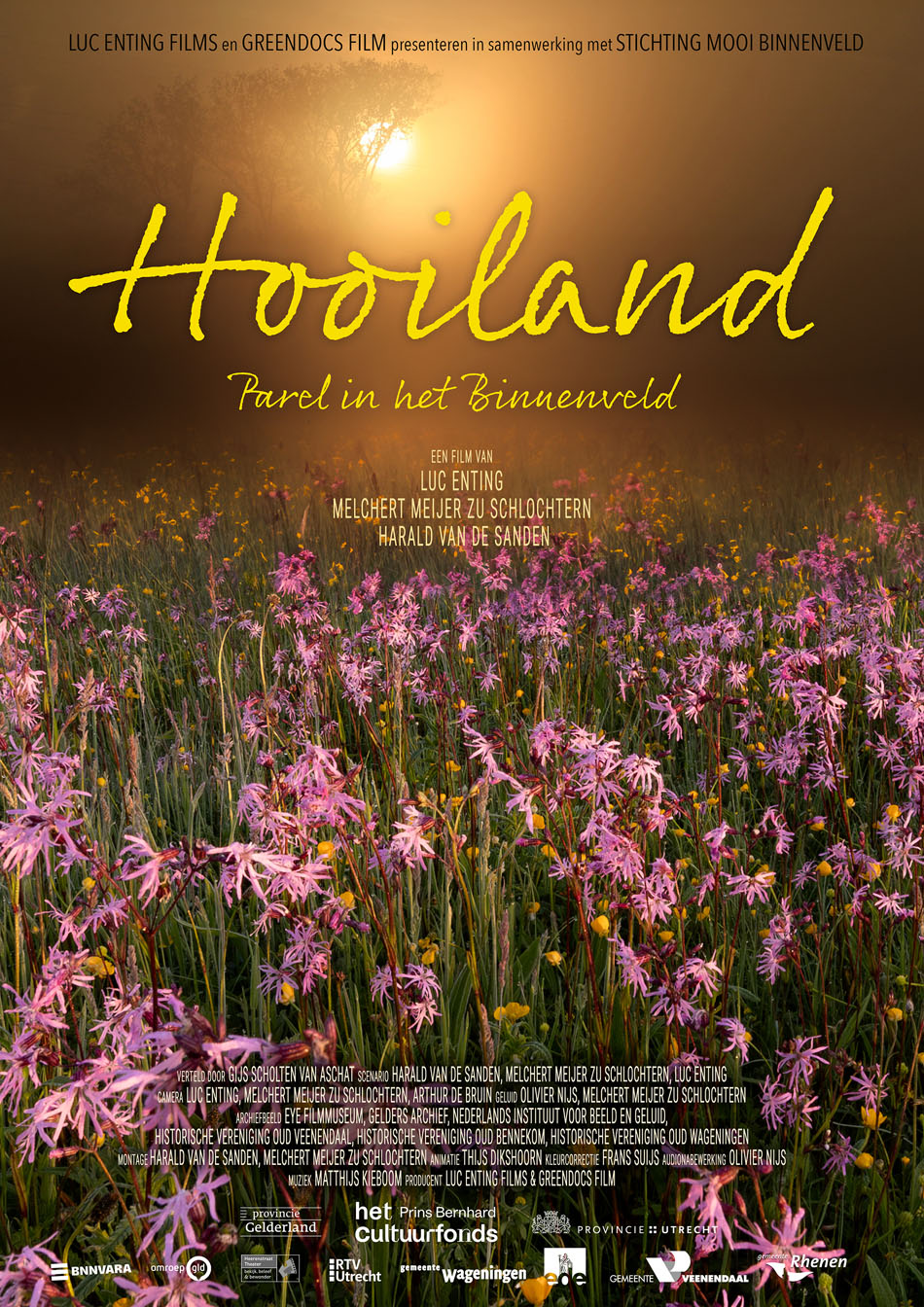 HOOILAND